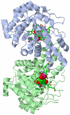 Image Asym./Biol. Unit - sites