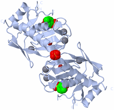 Image Biological Unit 2