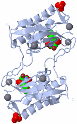 Image Biological Unit 3