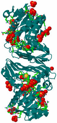 Image Biol. Unit 1 - sites