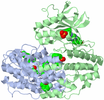 Image Asym./Biol. Unit