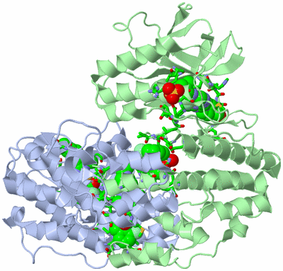 Image Asym./Biol. Unit - sites