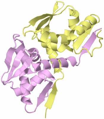 Image Biological Unit 3