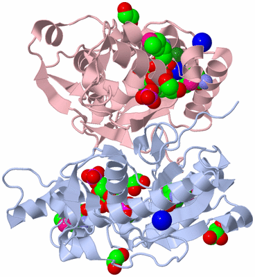 Image Biological Unit 1