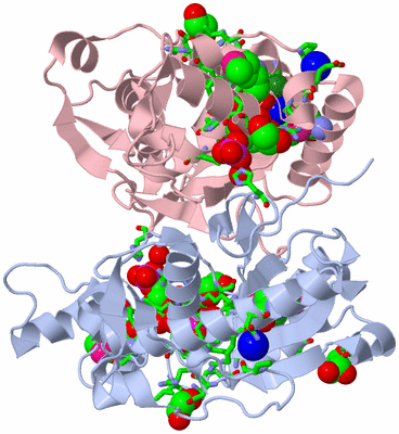 Image Biol. Unit 1 - sites