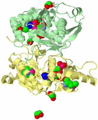 Image Biological Unit 2