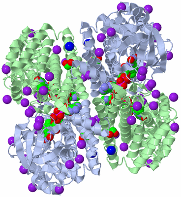 Image Biological Unit 2