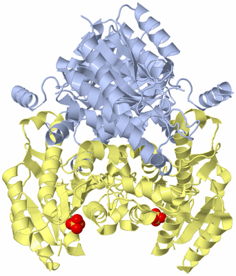 Image Biological Unit 1