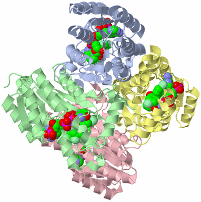 Image Asym./Biol. Unit