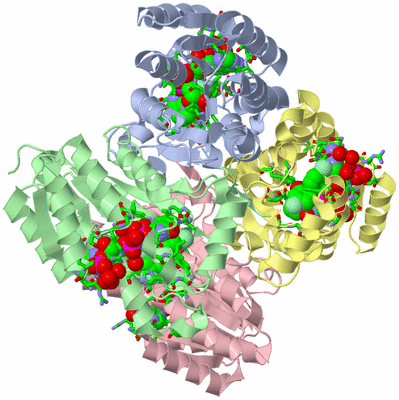 Image Asym./Biol. Unit - sites