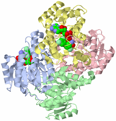 Image Asym./Biol. Unit