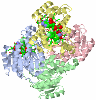 Image Asym./Biol. Unit - sites