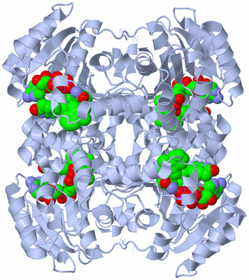 Image Biological Unit 1