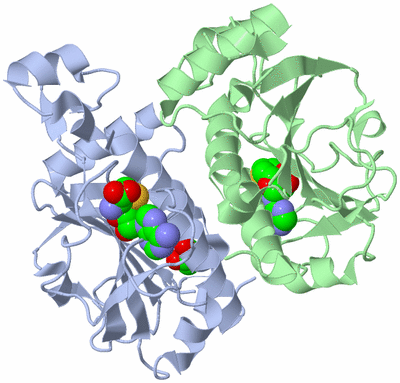 Image Asym./Biol. Unit