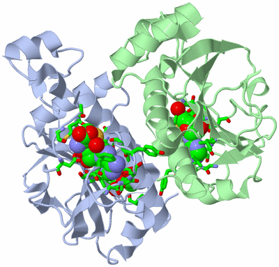 Image Asym./Biol. Unit - sites