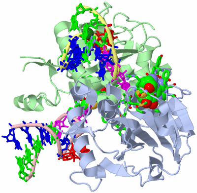 Image Asym./Biol. Unit - sites