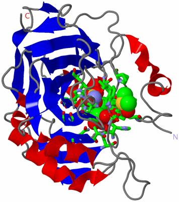 Image Asym./Biol. Unit - sites