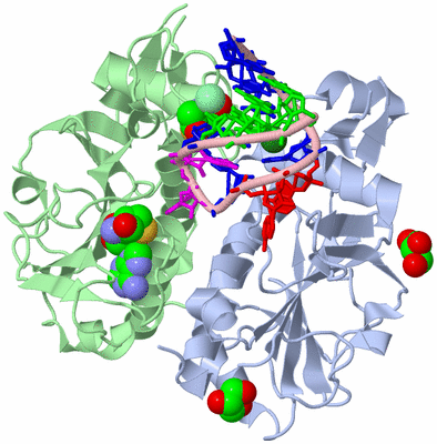 Image Asym./Biol. Unit