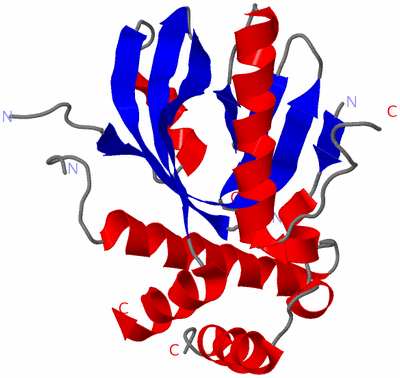 Image Asymmetric Unit