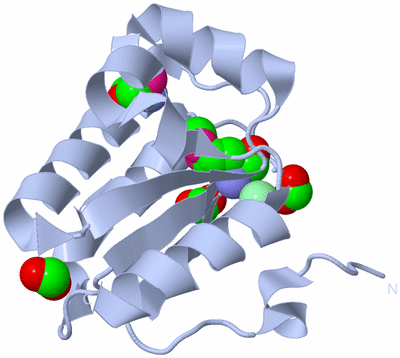 Image Biological Unit 1