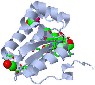 Image Biol. Unit 1 - sites