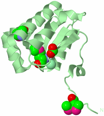 Image Biological Unit 2