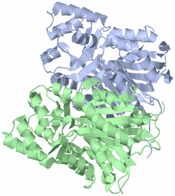 Image Asym./Biol. Unit