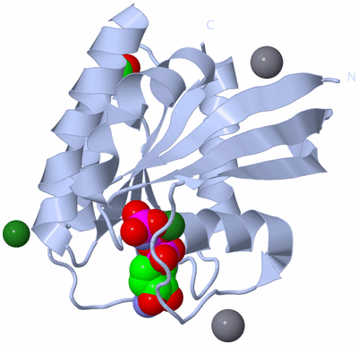 Image Biological Unit 1