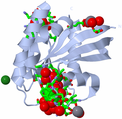 Image Biol. Unit 1 - sites