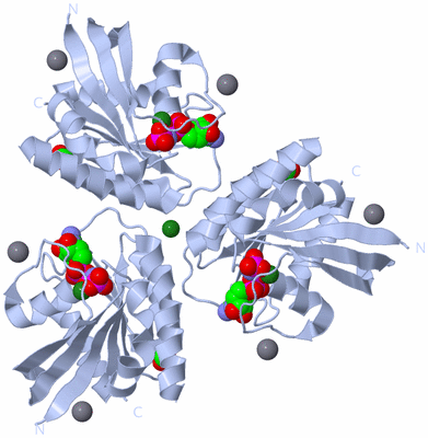 Image Biological Unit 2