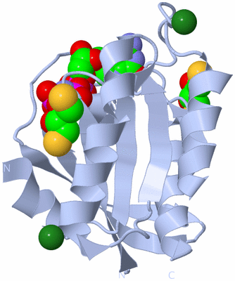 Image Biological Unit 1