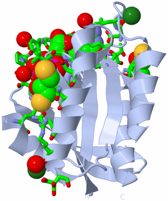 Image Biol. Unit 1 - sites