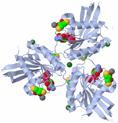 Image Biological Unit 2