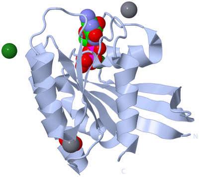 Image Biological Unit 1