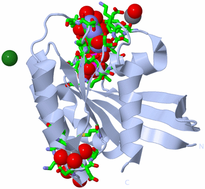 Image Biol. Unit 1 - sites