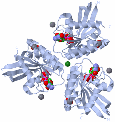 Image Biological Unit 2