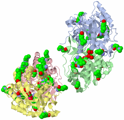 Image Biological Unit 1