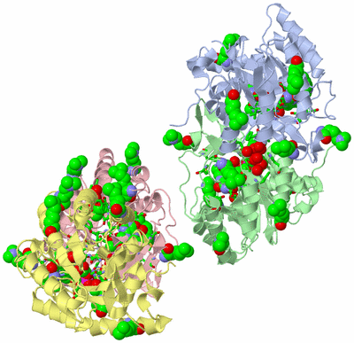 Image Biol. Unit 1 - sites