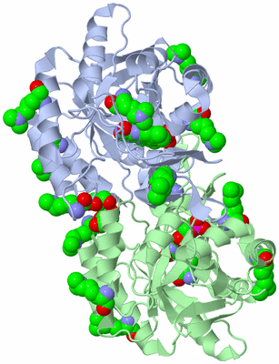 Image Biological Unit 2