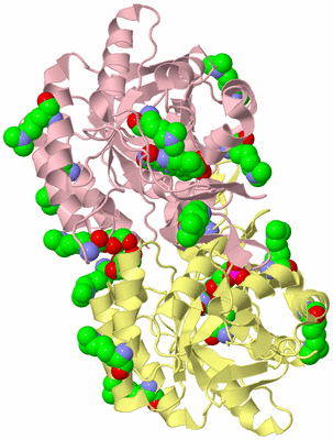 Image Biological Unit 3