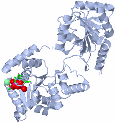 Image Biol. Unit 1 - sites