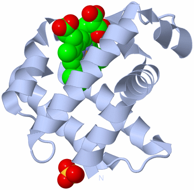 Image Biological Unit 1