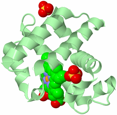 Image Biological Unit 2