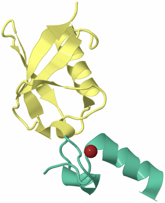 Image Biological Unit 4