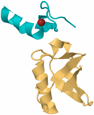 Image Biological Unit 7