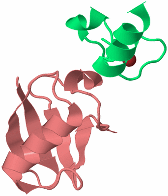 Image Biological Unit 8