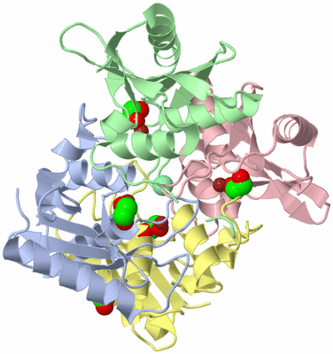 Image Asym./Biol. Unit