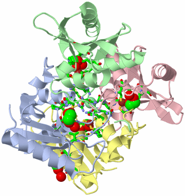 Image Asym./Biol. Unit - sites