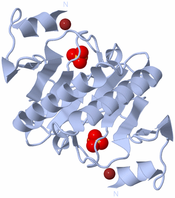 Image Biological Unit 1