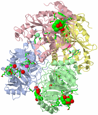 Image Asym./Biol. Unit - sites